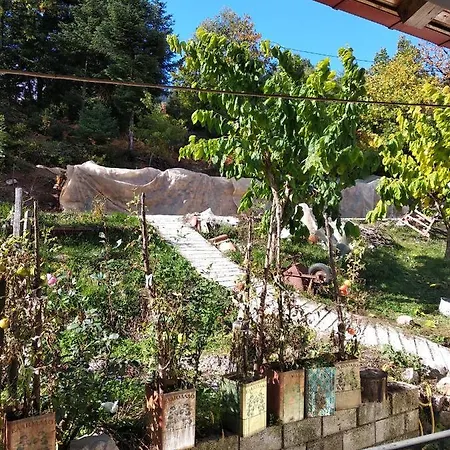 Гостевой дом Elatos Mikro Chorio (Central Greece)