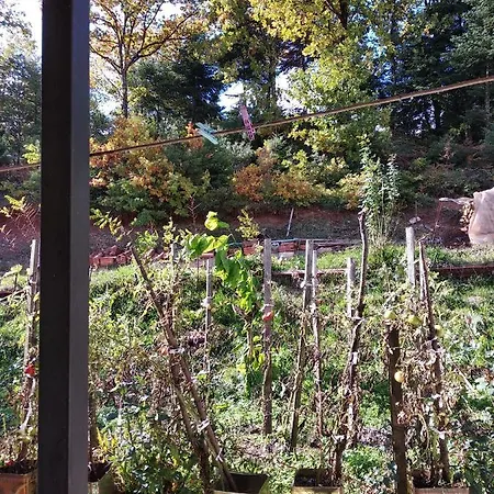 Elatos Гостевой дом Mikro Chorio (Central Greece)