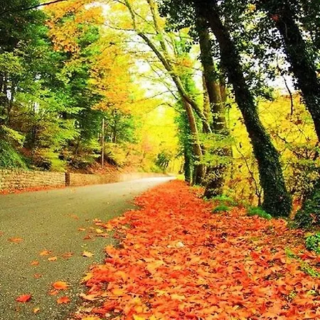 Elatos Гостевой дом